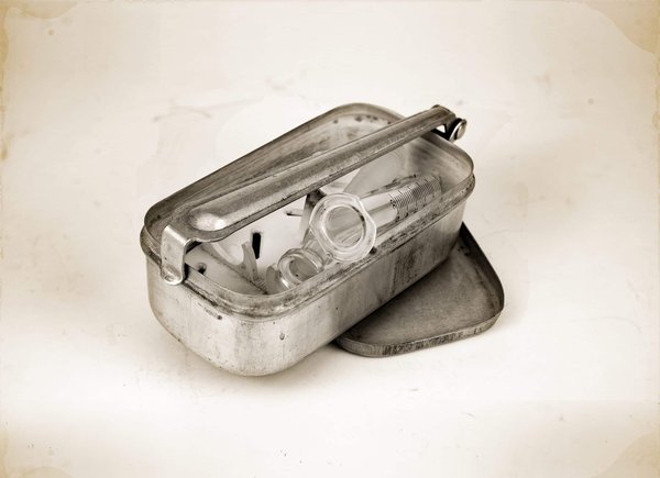 Top 5 des solutions naturelles pour lutter contre la présence des cafards ?