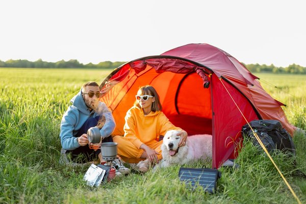Les campings sur l'Île de Ré acceptent-ils les animaux de compagnie ?