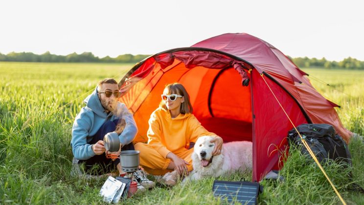 Les campings sur l’Île de Ré acceptent-ils les animaux de compagnie ?